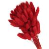 PATIKIL 15.7in Coda di Coniglio Fiori Secchi, 120pz Erba di Pampas Decorativa Coda di Coniglio Erba di Pampas Naturale alla Rinfusa Fluffy Faux Erba di Pampas Essiccata , Rosso