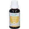 Herbalgem Respigem Polmoni Concentrato di Gemme Fresche Gocce 30 ml Spray