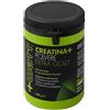 Watt CREATINA+ POLVERE EXTRAGOLD 100 G