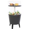Tavolino Termico Piano Rialzabile Ø49,5 cm in Resina Keter Cool Bar Grigio