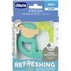 Chicco (artsana spa) CH MASSAGGIA FRESH ANIMAL 4M+