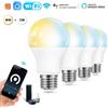 Tuya Lampadina LED CCT Smart Wi-Fi A60 E27 Dimmerabile 9W