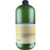 Demeral Physia OE Shampessenza Deforforante 1000ml - shampoo purificante capelli con forfora grassa o secca