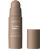 Catrice Sculpt & Charm Contour Stick Viso - 10 ash