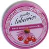 Eurospital SpA Pastiglie Gommose Anberries Gola e Voce Ribes Rosso & Echinacea 50 g Caramelle