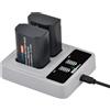 PowerTrust 2 batterie DMW-BLK22 con caricatore USB C veloce da 20 W, per fotocamere Panasonic Lumix DC-S5 IIX, DC-S5 II, DC-S5, S5K, GH5 II, GH5 Mark II, GH6, S5II, S5M2, GH5M2, GH5M2