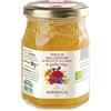 Agrisicilia Miele di Millefiori di Sicilia e Calabria Da Agricoltura Biologica - 300 g