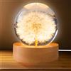 GOMETY Sfera di cristallo, luce notturna, 6 cm, fiore di leone, lampada da notte con base in legno USB, ideale come regalo per la casa, decorazione da tavolo