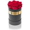 Aluisi Fiori - 7 Rose Rosse Stabilizzate - Box Nera - Scatola Romantica per San Valentino, anniversari e dichiarazioni di Passione.