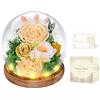 MAMAMIKO Rosa Stabilizzata Vera con Luci LED, Rosa Eterna La Bella e la Bestia, Regalo per Lei, Donna, Fidanzata, Mamma, Idee Regalo per San Valentino, Compleanno, Anniversario, Festa della Mamma (Champagne)