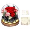 MAMAMIKO Rosa Stabilizzata Vera con Luci LED, Rosa Eterna La Bella e la Bestia, Regalo per Lei, Donna, Fidanzata, Mamma, Idee Regalo per San Valentino, Compleanno, Anniversario, Festa della Mamma (Rossa)
