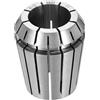 QUARKZMAN Mandrino A Morsetto ER32 20mm Collet Di Precisione Per Router | Acciaio Per Molle 65Mn, Utensili Tornio Fresatura CNC Incisione