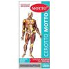 NOVAVIS PHARMA SRL Novavis Motto Cerotto 5X15 Cm 2 Pezzi Cerotti
