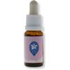 Blueberry 15Ml Cactus