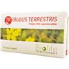 NUTRACEUTICA BIOLIFE SRL Nutraceutica Biolife Internazionale Biolife Tribulus Terrestris 60 Compresse
