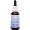 BUSH BIOTHERAPIES PTY LTD Caregiver 30Ml