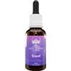 BUSH BIOTHERAPIES PTY LTD Travel Essenza Floreale Australian 30Ml Gocce Omeopatia