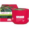 Foglierare Desiderio Intenso Burro Profumato Elasticizzante200 Ml