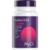 Mycli Suplus H24 Hya Refill 60 Capsule