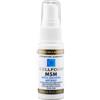 EPINUTRACELL SRL Epinutracell Celfood Msm Integratore Spray 30 Ml Salute Delle Articolazioni