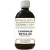 Dr.giorgini Ser-Vis Gemmo 10+ Carpino Bianco 500 Ml Liquido Analcolico