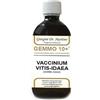 Dr.giorgini Ser-Vis Gemmo 10+ Mirtillo Rosso Liquido Analcolico 500 Ml Omeopatia