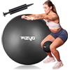 Fizyo Mini Palla da Pilates 22 cm - Palla da Ginnastica Morbida con Pompa, per Yoga, Riabilitazione, Fitness ed Esercizi di Equilibrio a Casa e per Anziani (Grigio)