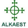 ALKAEST SRL MGS5 EQUISETO MACERATO GLICERICO SPG 20 ML