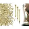 AOYEGIC Chiodi da 100 g, piccoli mini chiodi per appendere quadri,chiodi per quadri a testa tonda,piccoli chiodi artificiali,chiodi da parete,accessori fatti a mano fai da te(giallo,1,2 x 15 mm)