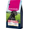 EUKANUBA Senior Large Breeds Chicken 15 kg cibo secco per cani anziani di razze grandi ricco di pollo fresco
