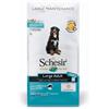 SCHESIR DOG LARGE PESCE 12 KG