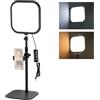 NEEWER BASICS Luce per Video Conferenza 10,8 con Supporto/Porta Telefono, Lampada Scrivania a Schermo Intero Edge Lit Bicolore 15W CRI95+ per Computer Laptop Webcam Zoom Call Streaming Riprese, L220