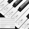 QUARKZMAN Adesivi Per Tasti Pianoforte 88/61/54 Tasti Rimovibile Nero | Numeri Adesivi Tastiera Guida Note Pianoforte, Per Principianti In Apprendimento