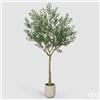 Enzo De Gasperi EDG Enzo De Gasperi Pianta Artificiale Olivo Vouge con Vaso H240 cm
