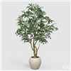 Enzo De Gasperi EDG Enzo De Gasperi Pianta Artificiale Ficus Beniamino Vogue con Vaso H240 cm
