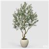 Enzo De Gasperi EDG Enzo De Gasperi Pianta Artificiale Olivo Vouge con Vaso H240 cm