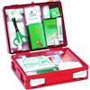 Farmacare Cassetta Pronto Soccorso Mini Kit Per Casa