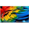 Philips Smart TV 50 Pollici 4K Ultra HD Android 50HFL6214U Philips