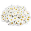 PARFCO 200 Pezzi Fiori Finti per Decorazioni, PARFCO Fiori Artificiali, Margherita Finte, Margherite Bianche, Fiorellini per Bomboniere Matrimoni, Feste, Fai da te, Composizioni Floreali, Ghirlande