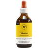 CENTO FIORI Srl VIBURNO GEMME 100ML MG