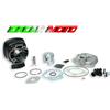 MALOSSI GRUPPO TERMICO MALOSSI ghisa H2O DERBI PREDATOR 50 2T LC 3111146