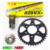 DID KIT TRASMISSIONE PIGNONE CATENA CORONA NERA DUCATI Multistrada 950 2020