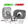 MALOSSI GRUPPO TERMICO Ø 45,5 IN GHISA CON SPINOTTO Ø 10 CVF PIAGGIO CIAO px 50 MALOSSI