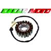 ELECTROSPORT Statore volano Ducati Sport 1000 2006 2007 2008 Supersport 400 1993 1994 1995