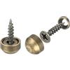 QUARKZMAN 16pz Ottone Decorative vite con Cappucci 9mm Specchio vite Coperchio Autofilettanti per Mobili Fissaggio Bronzo