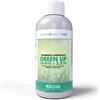 Bottos I Green Up 1 KG - Concime Rinverdente, Base di Azoto e Solfato di ferro, Specifico per nutrizione tappeti erbosi