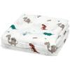 Kiokids Mussolina KioKids 120*120 Dinosauri