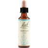 SCHWABE PHARMA ITALIA Vervain Fiori Di Bach Originale 20 Ml