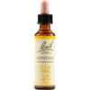 SCHWABE PHARMA ITALIA Schwabe Fiori Di Bach 12 Gentian Gocce 20ml