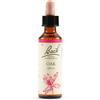 SCHWABE PHARMA ITALIA Schwabe Fiori Di Bach 22 Oak Gocce 20ml